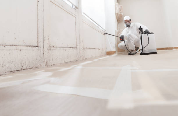24/7 Emergency Mold Cleanup experts in Columbia, TN